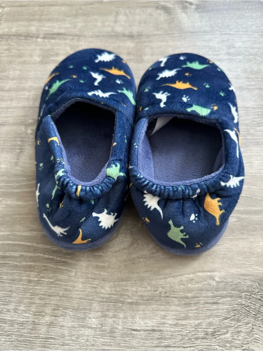 Dinosaur Slippers